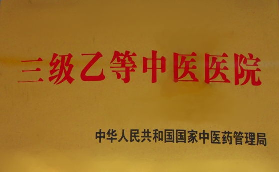 三级乙等中医院
